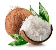 MUSK & COCONUT